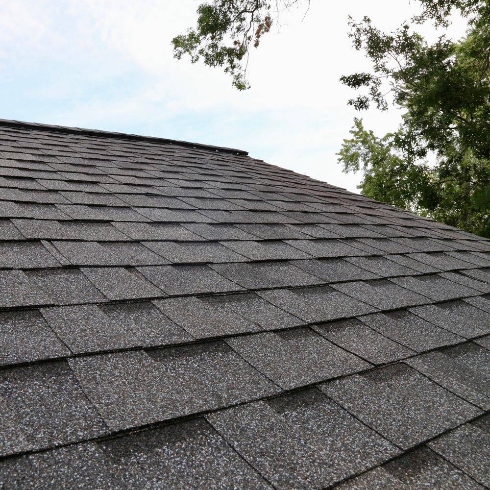 Newly Installed Shingle Roof — Hudson, MI — D & C Roofing Newly Installed Shingle Roof — Hudson, MI — D & C Roofing