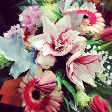 fiori