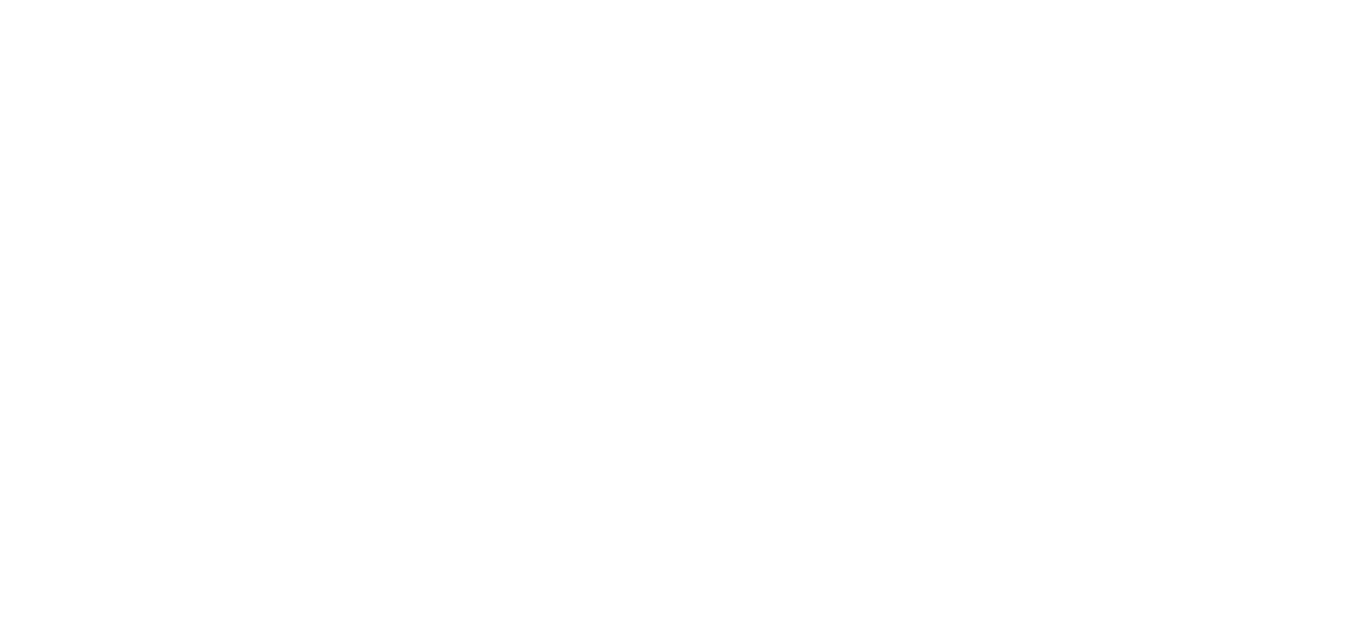 A white logo for Aqua Kings