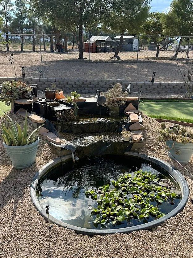 Water fountain with pond, waterfall cascading into a circular basin, surrounded by gravel and potted plants.