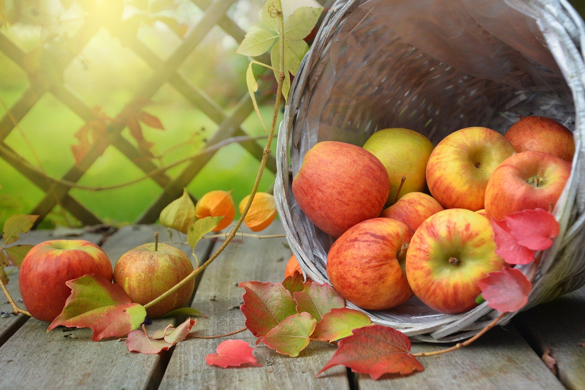 Apples and autumn leaves spilling from a tipped basket onto a wooden table outdoors