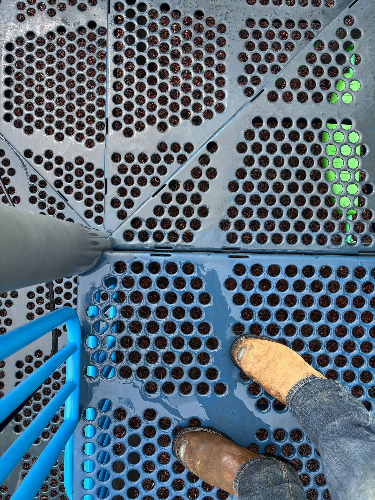 Two gloved hands stepping on a blue perforated metal platform with a gray lattice wall nearby