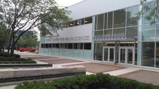 Vinyl Window Graphics
