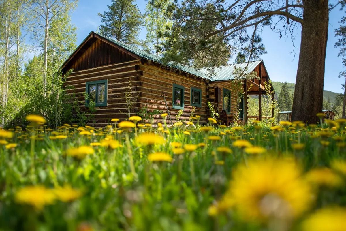 A log cabin sits in a lush meadow filled with bright yellow dandelions under a clear blue sky.