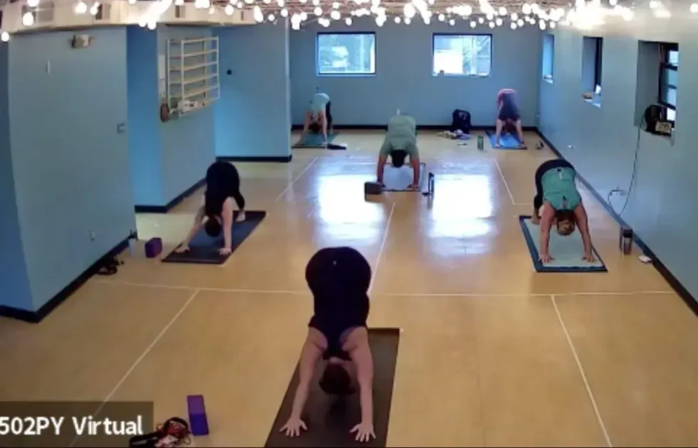 A group of people in a yoga studio performing downward-facing dog poses on mats across a light-colored wooden floor.