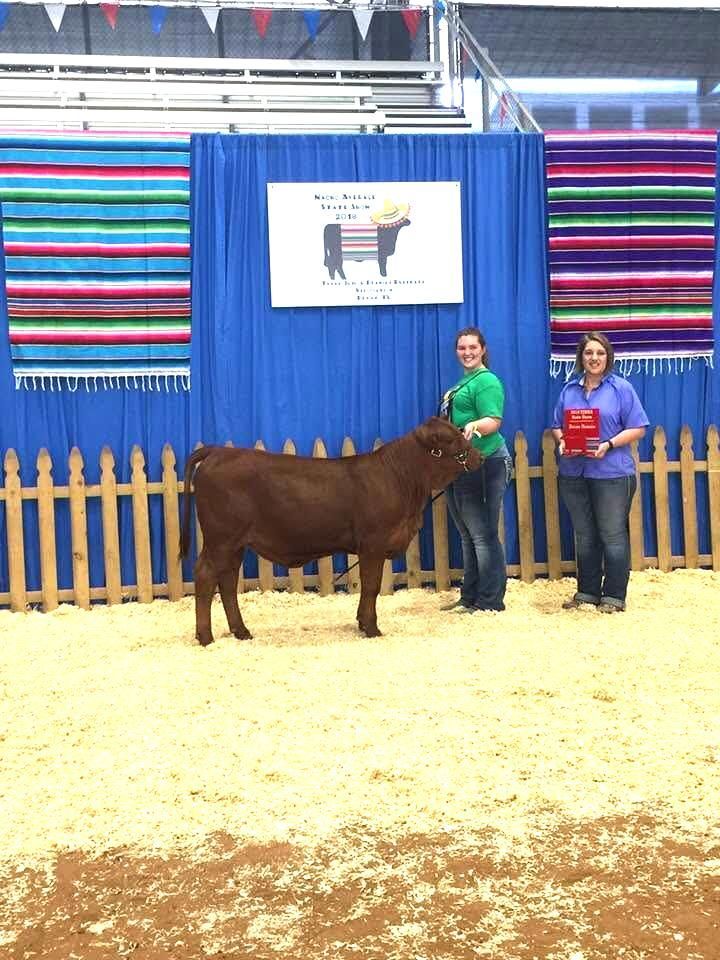 Two women are standing next to a brown cow in front of a blue curtain.
