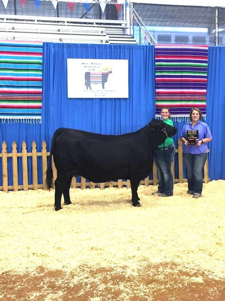 Two women are standing next to a black cow in a pen.