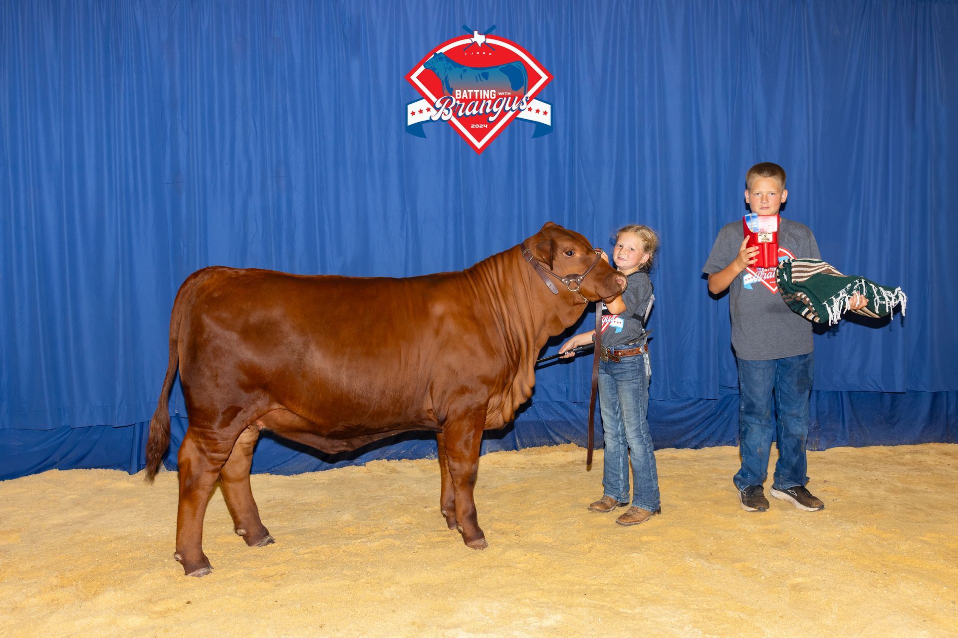 Two young boys are standing next to a brown cow.