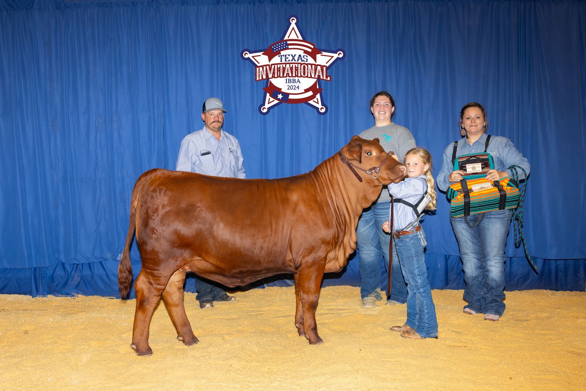 A group of people standing around a brown cow in front of a blue curtain.