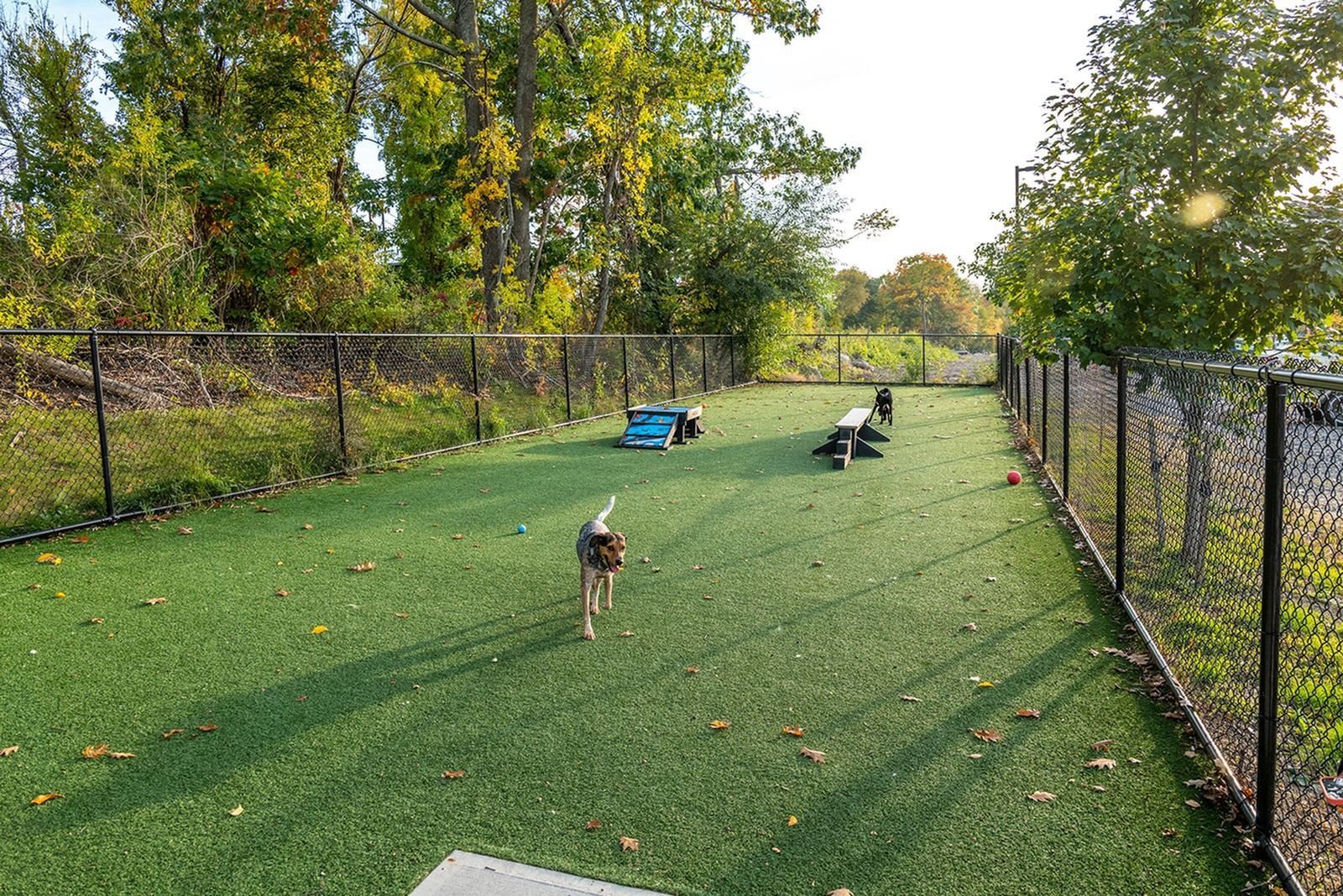 West End Yards is a pet-friendly apartment community with a bark park. 