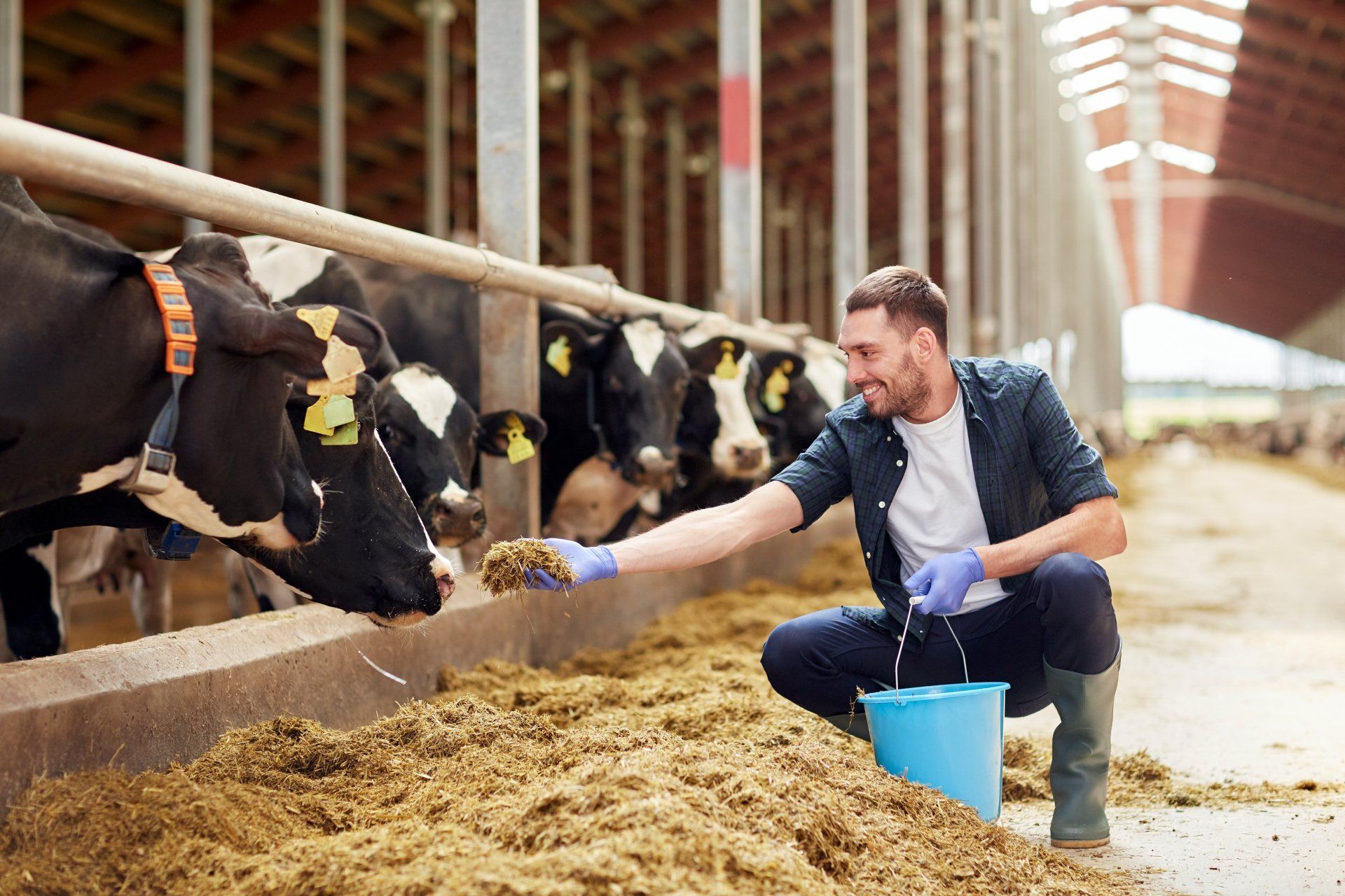 Wide ranging feed additive for better health.