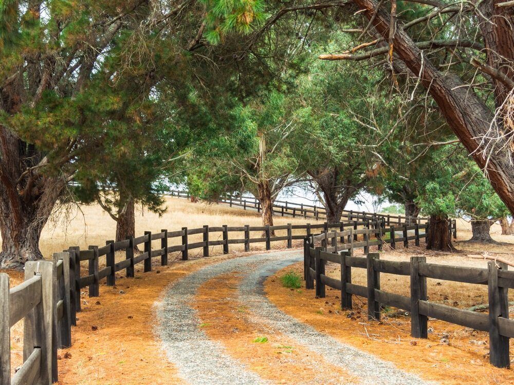 A Gravel Driveway with a Wooden Fence Either Side Of It — Mudgeeraba Landscape Centre In Mudgeeraba, QLD