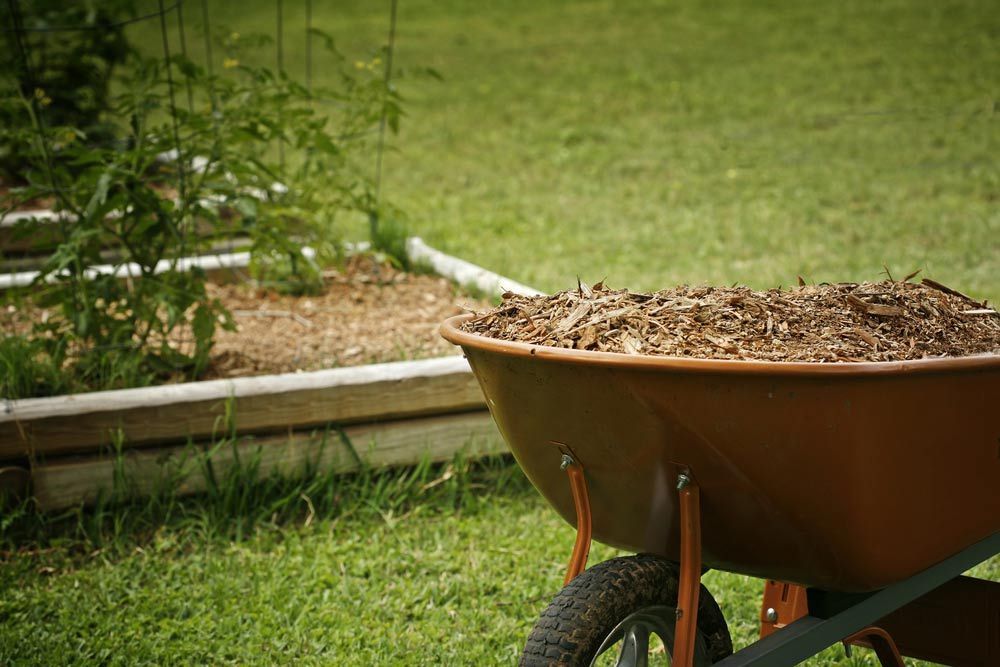 A Wheelbarrow Filled With Mulch Is Sitting On Top Of A Lush Green Lawn — Mudgeeraba Landscape Centre In Robina, QLD