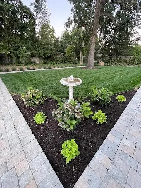 Small landscaped garden bed with a white birdbath, bordered by gray pavers and green lawn.