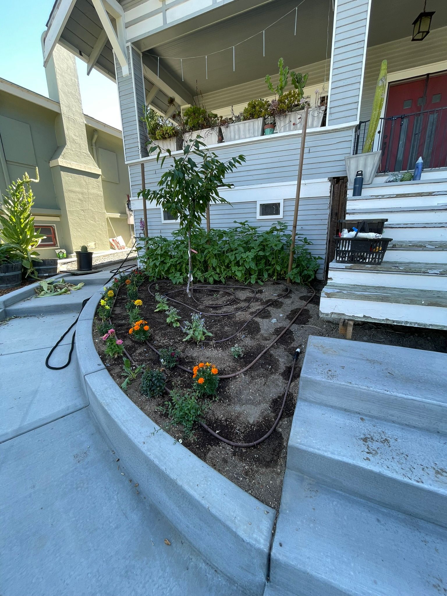Front steps to a house with a small flower bed and garden hose along a curved concrete walkway.