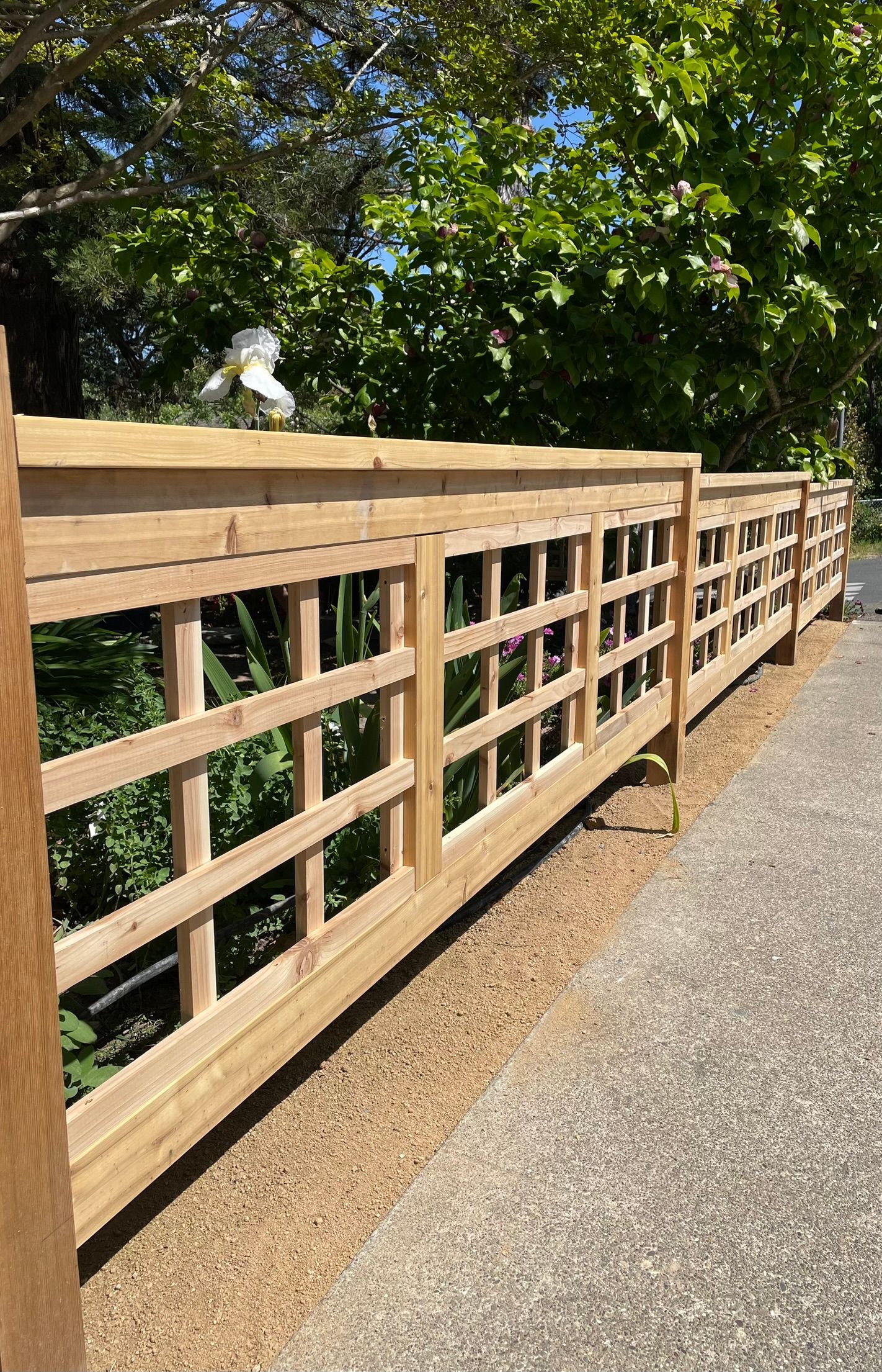 Wooden fence beside a gravel path, with green trees overhead in bright sunlight.