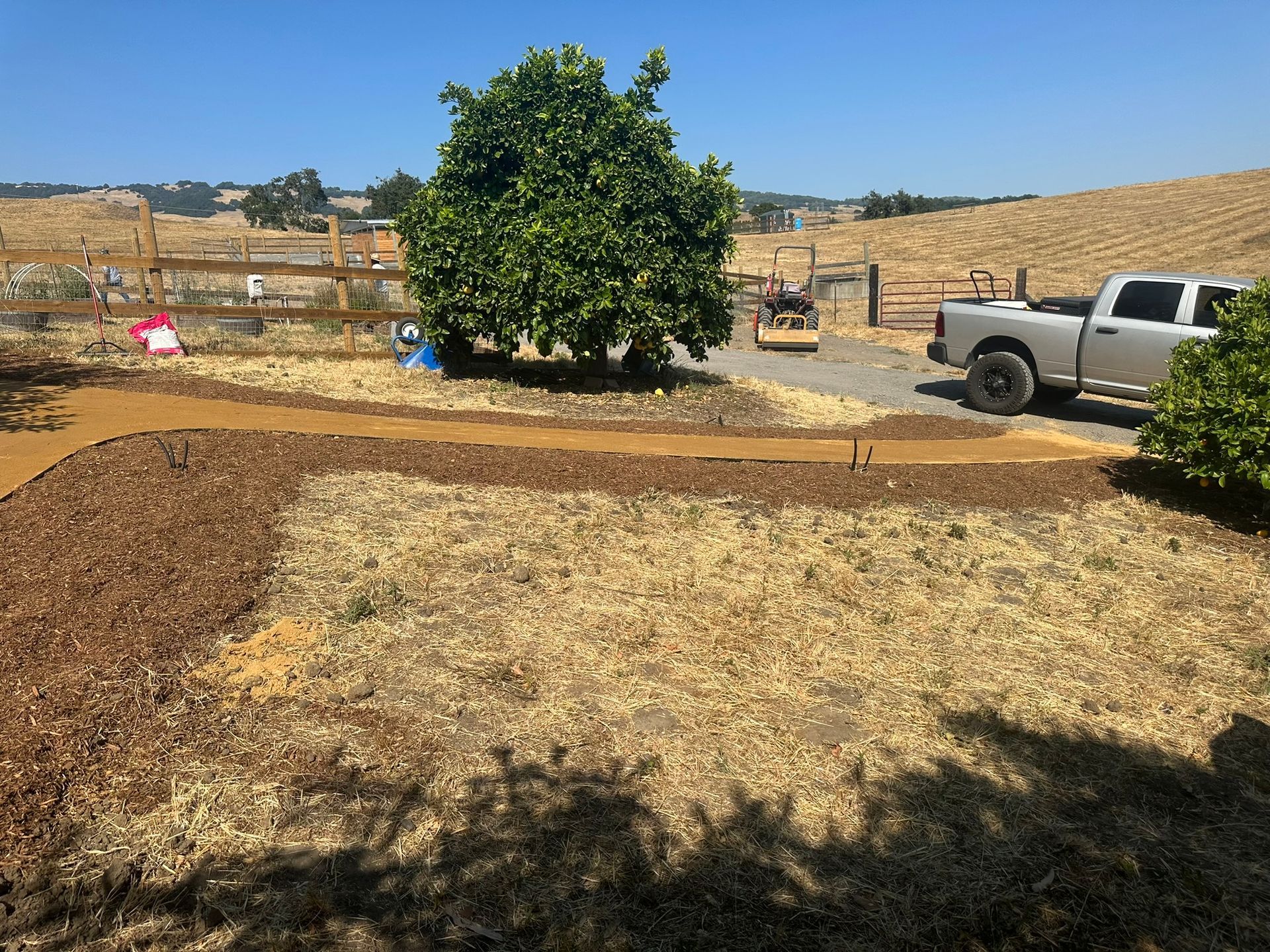 Dry yard with a large tree, white pickup truck, and tan hills in the background.