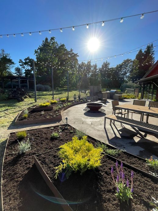 Sunny garden patio with raised flower beds, picnic tables, bunting, and bright sun flare