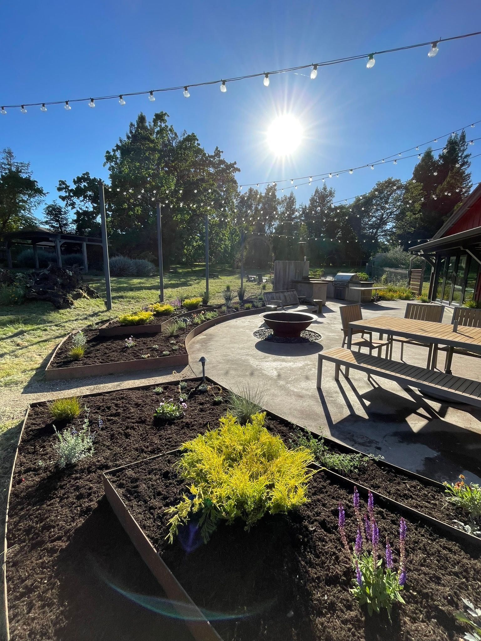 Sunny garden with raised beds, benches, and string lights in a bright outdoor park setting