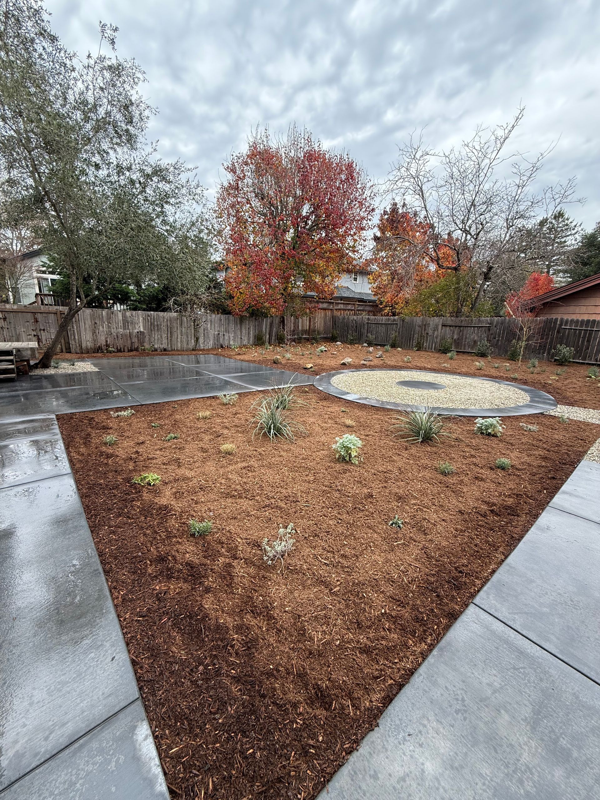 Mulched triangular garden bed with small plants, bordered by concrete paths and trees in a backyard