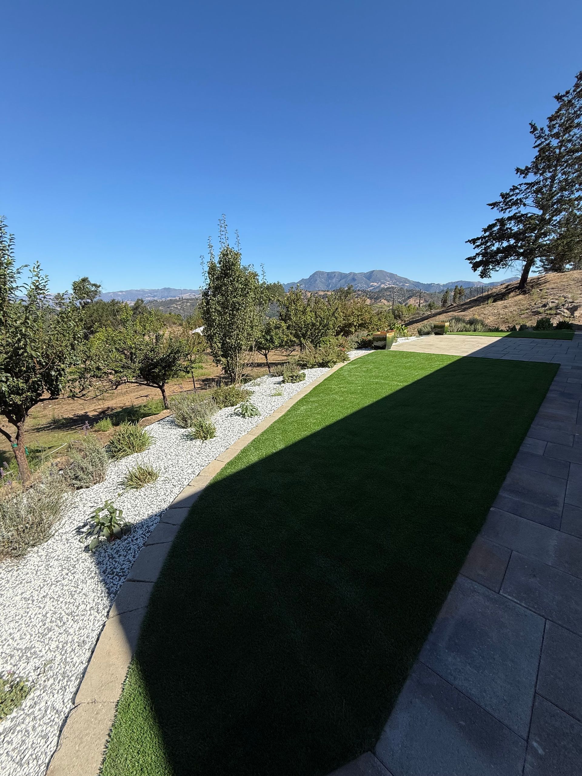 Sunlit vineyard with gravel path, green lawn, and mountains under a clear blue sky