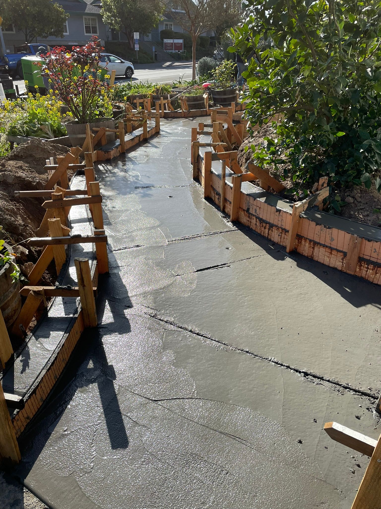 Sunlit garden walkway lined with wooden planters and green shrubs