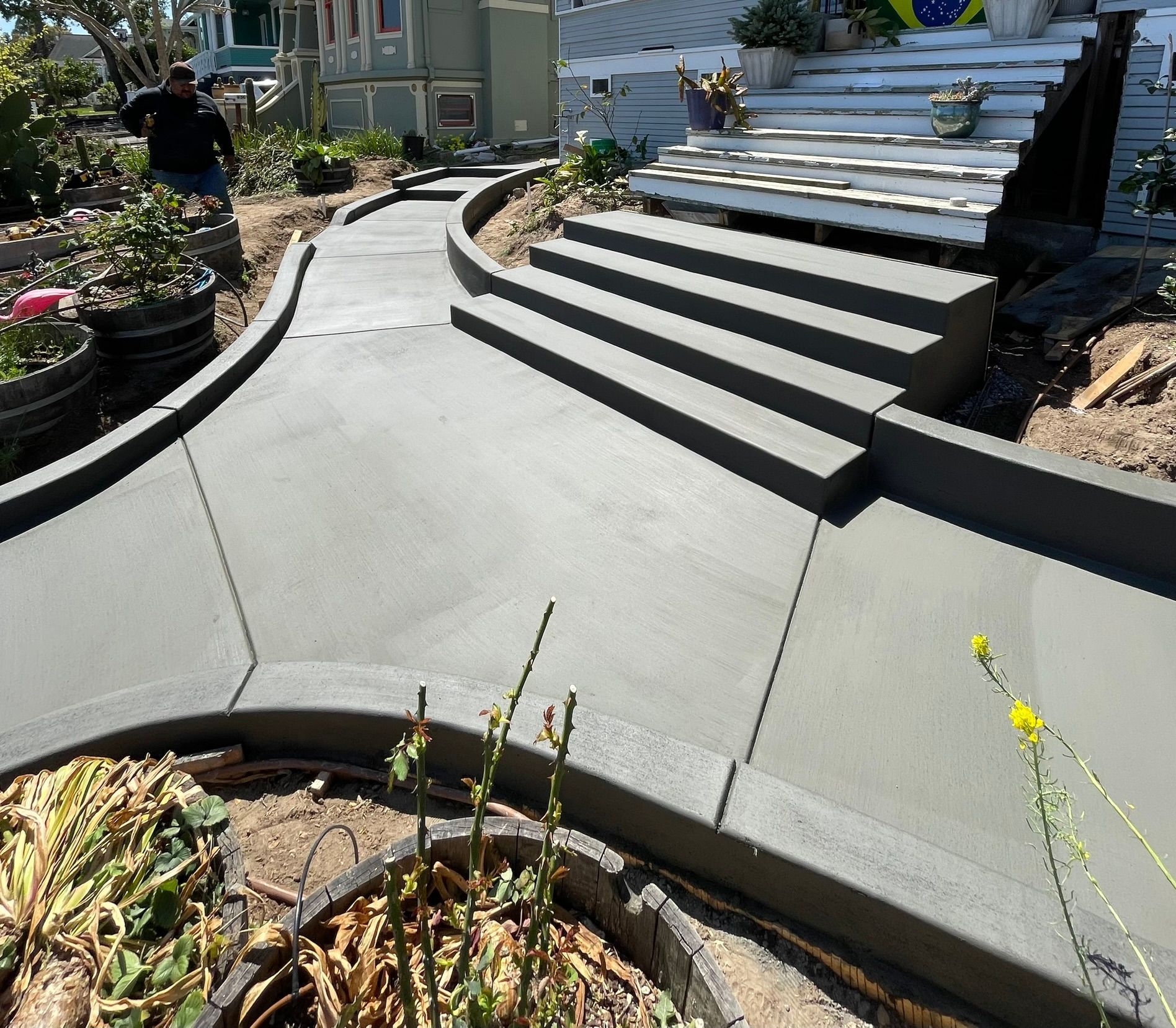 Curved concrete walkway leading up landscaped garden steps in bright sunlight