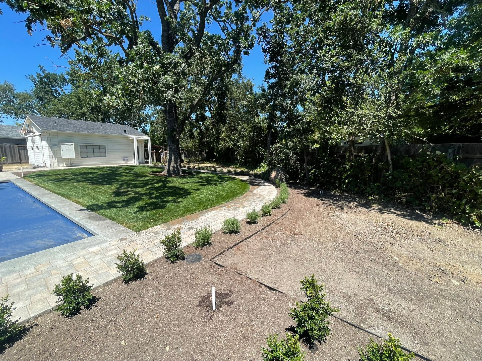 Backyard with blue pool, curved stone path, and trees around a gravel garden bed