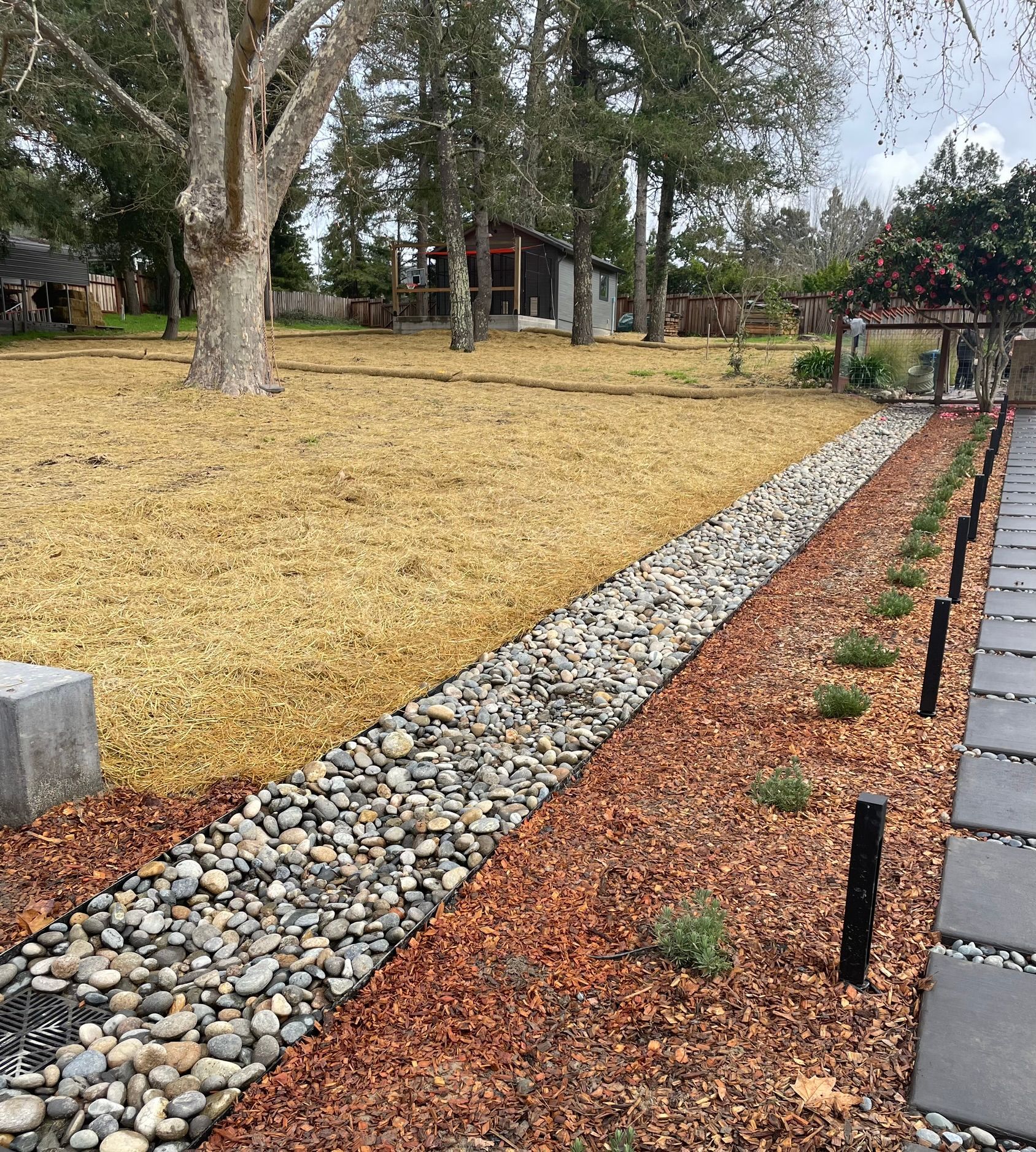 Landscaped yard with gravel drainage strip, brown mulch border, trees, and a house in the background