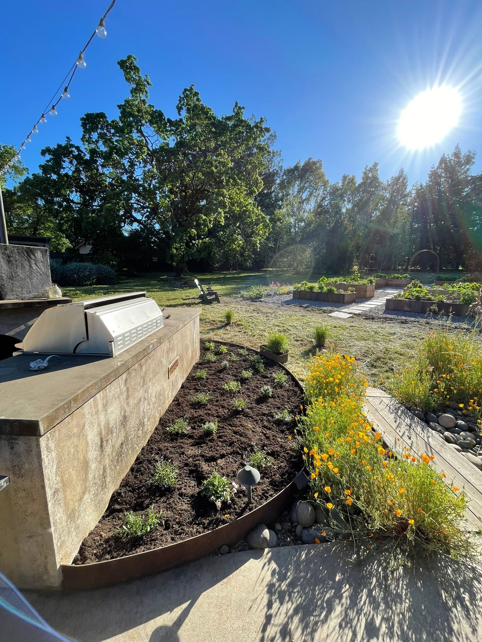Sunny garden with raised beds, flowers, and a concrete planter under a bright blue sky