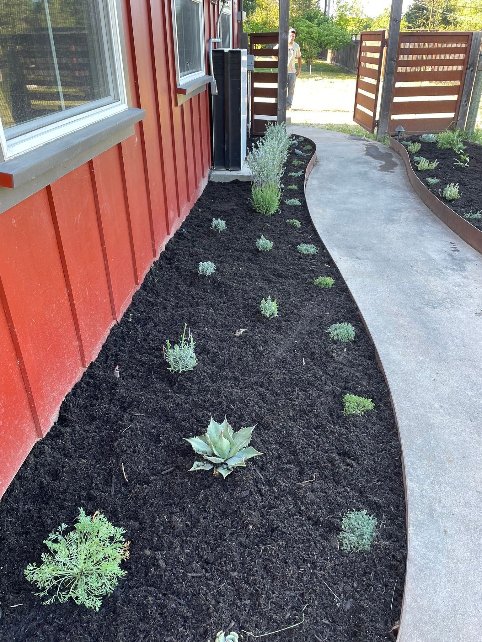 Landscaped side yard with black mulch, small succulents, a red house wall, and a curved concrete path