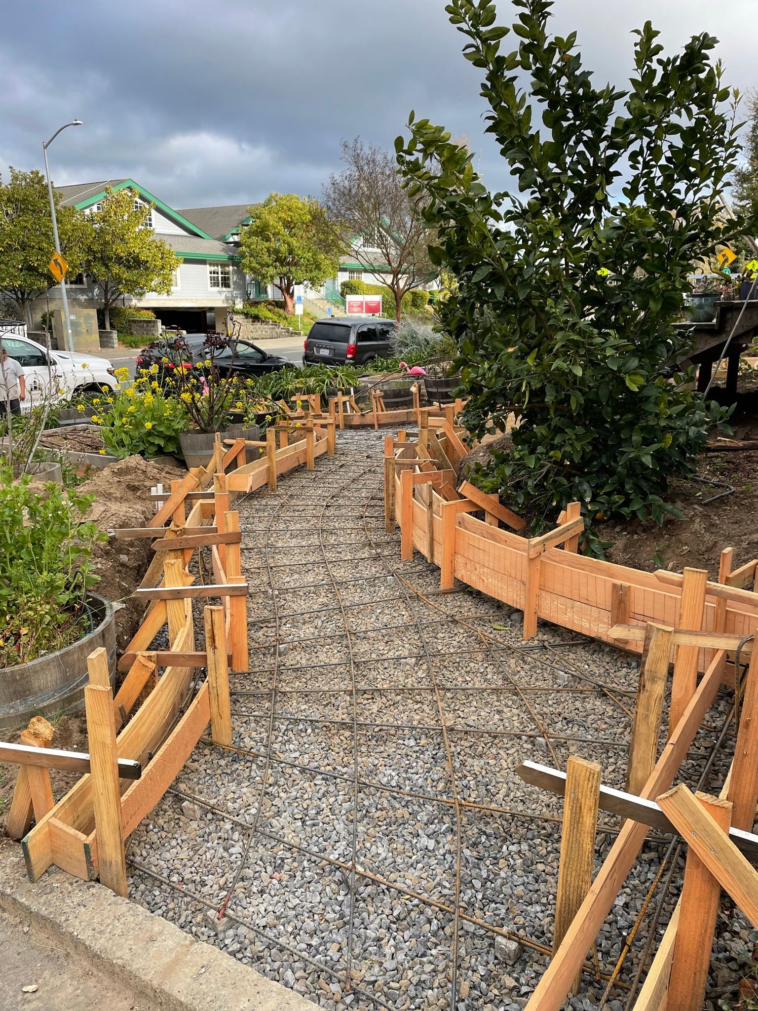 Gravel garden path bordered by wooden edging and plants in a residential neighborhood.