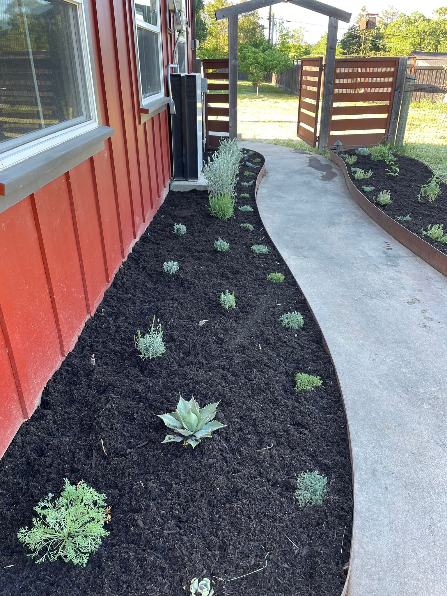 Curved concrete walkway beside a red house and black mulch garden with small plants, leading to a wooden gate