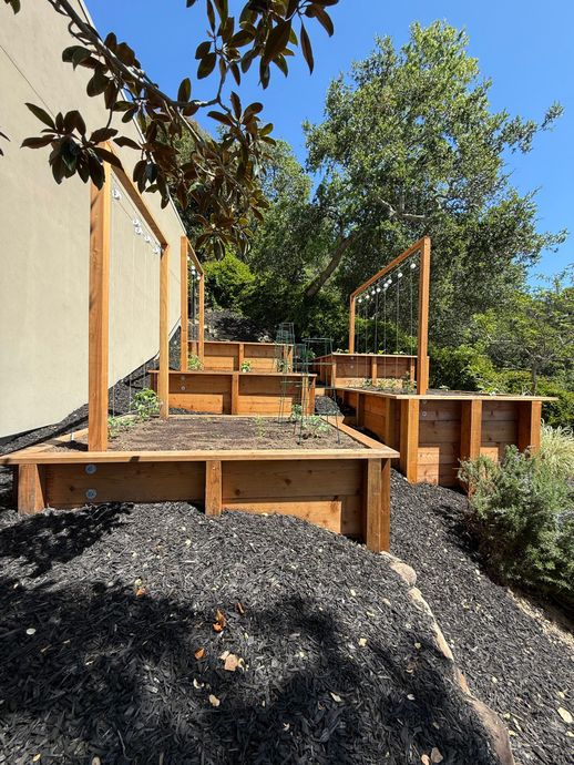 Raised wooden garden beds along a gravel path beside a stucco wall and leafy trees