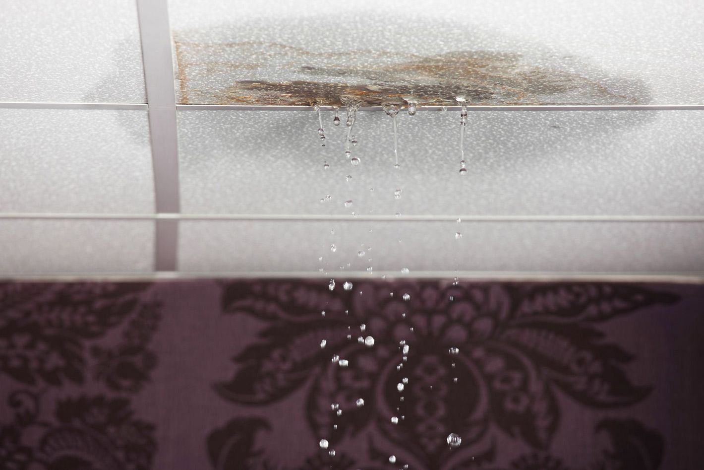 Water leaks through a stained, white drop ceiling tile, dripping down in front of a purple patterned wall.