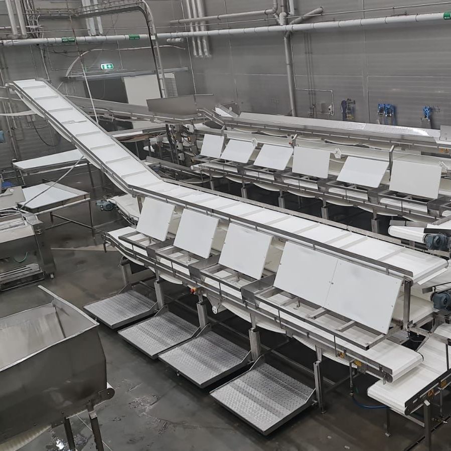 Industriell transportbandssorteringslinje med många vita brickor i ett grått fabrikslager