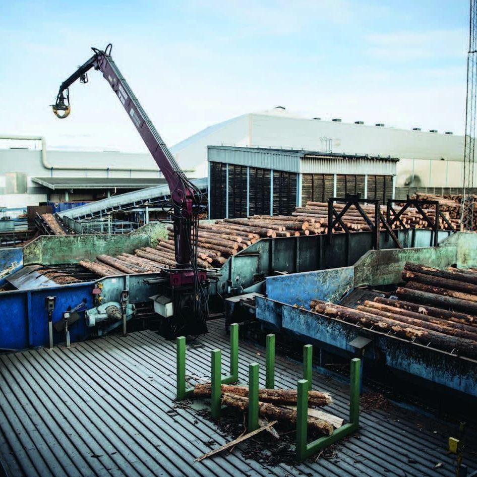 Industriell brädgård med staplade stockar, en kranarm och lagerbyggnader under en molnig himmel