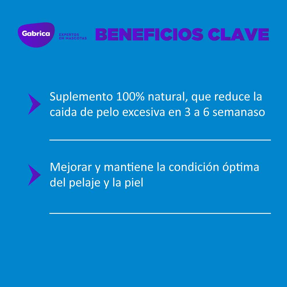 Botella amarilla de champú Shed-X para perros, con la cara visible. Texto: 
