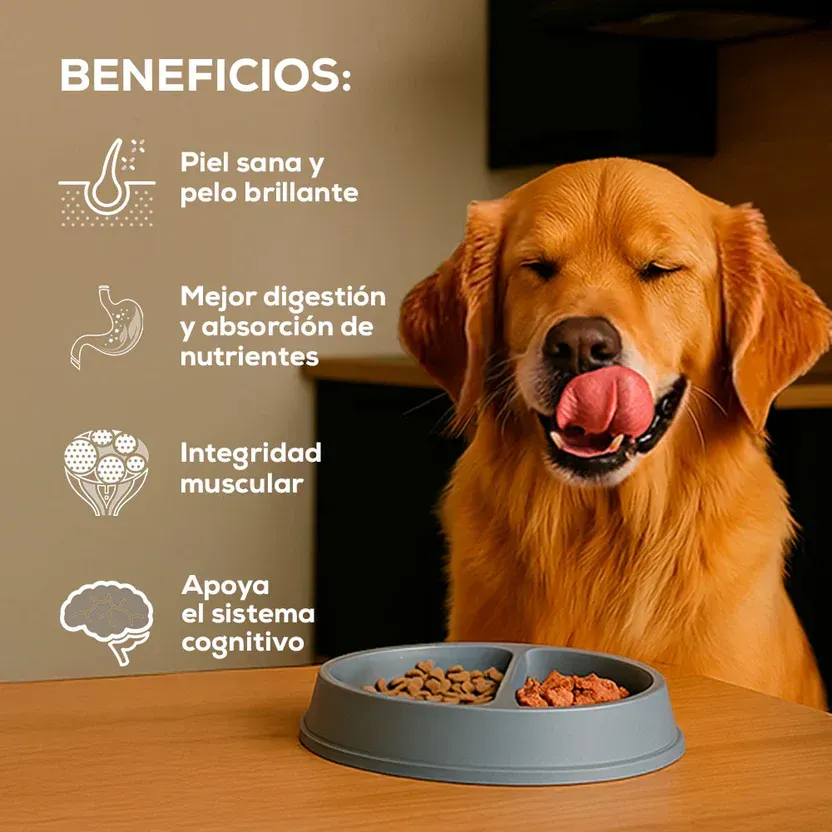 Bolsa de alimento para perros adultos Grand Vita con un perro blanco en el frente.