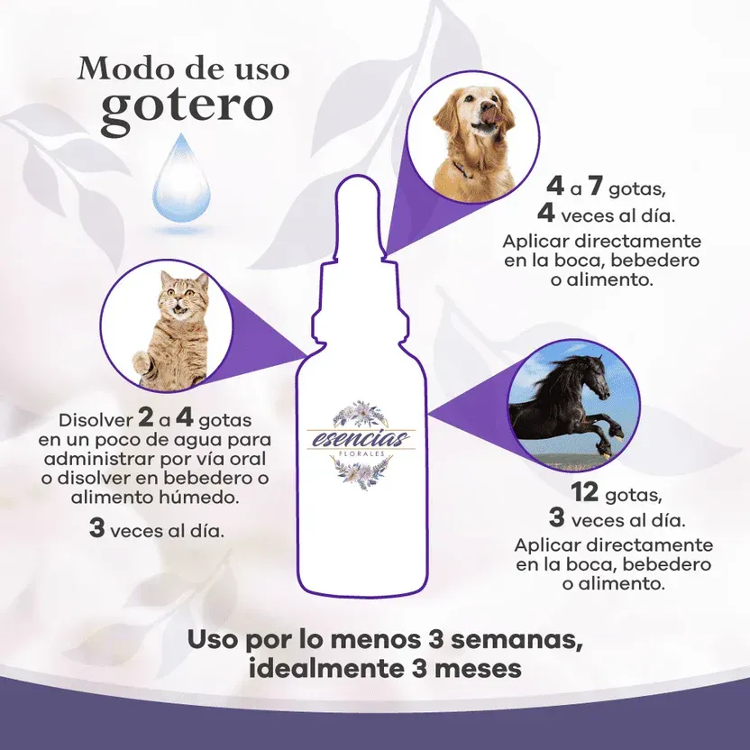 Caja y frasco de remedio para la agresividad perro/gato Magnovet con diseño floral.