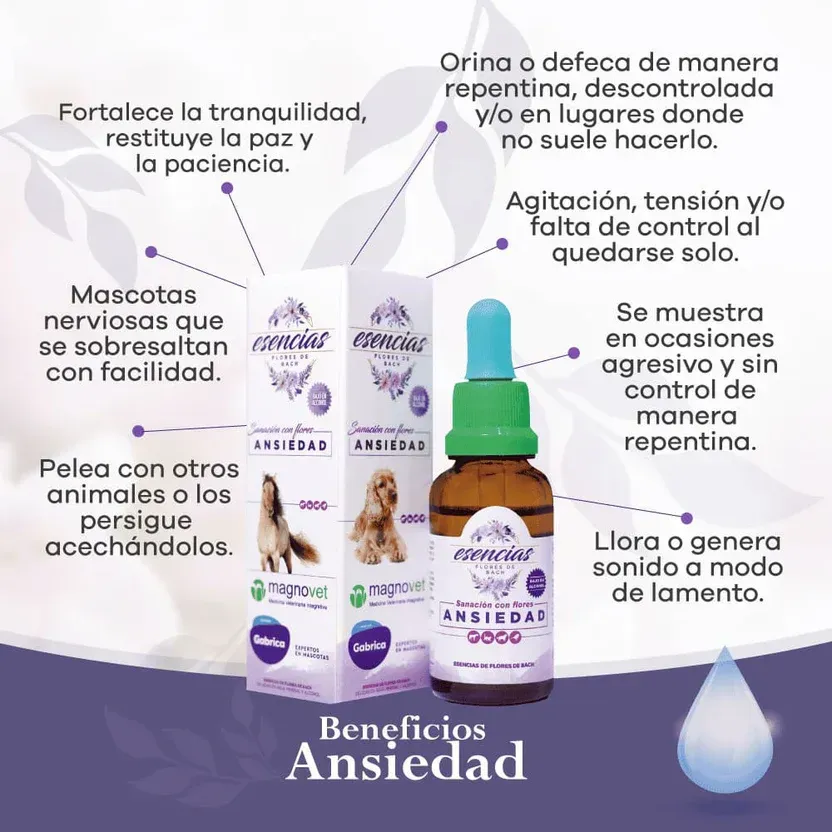 Caja y frasco de 