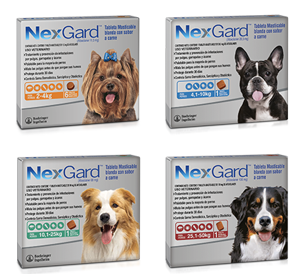 Cuatro cajas de NexGard para pulgas y garrapatas para perros. Cada caja contiene una raza y un rango de peso diferentes.