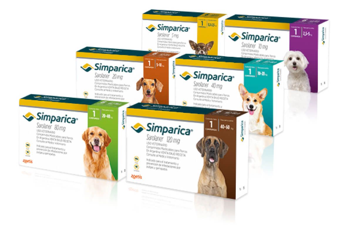 Cajas de medicamentos Simparica contra pulgas y garrapatas para perros, cada una con una raza de perro diferente ilustrada.