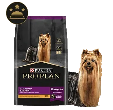 Bolsa de comida para perros Purina Pro Plan con un Yorkshire Terrier al lado.