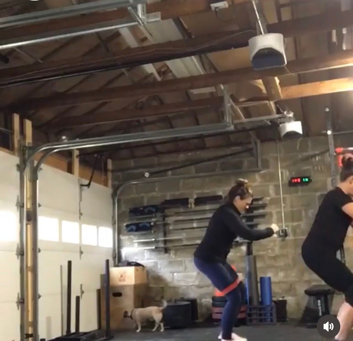 Two people doing a workout in a garage gym, with a dog in the background.