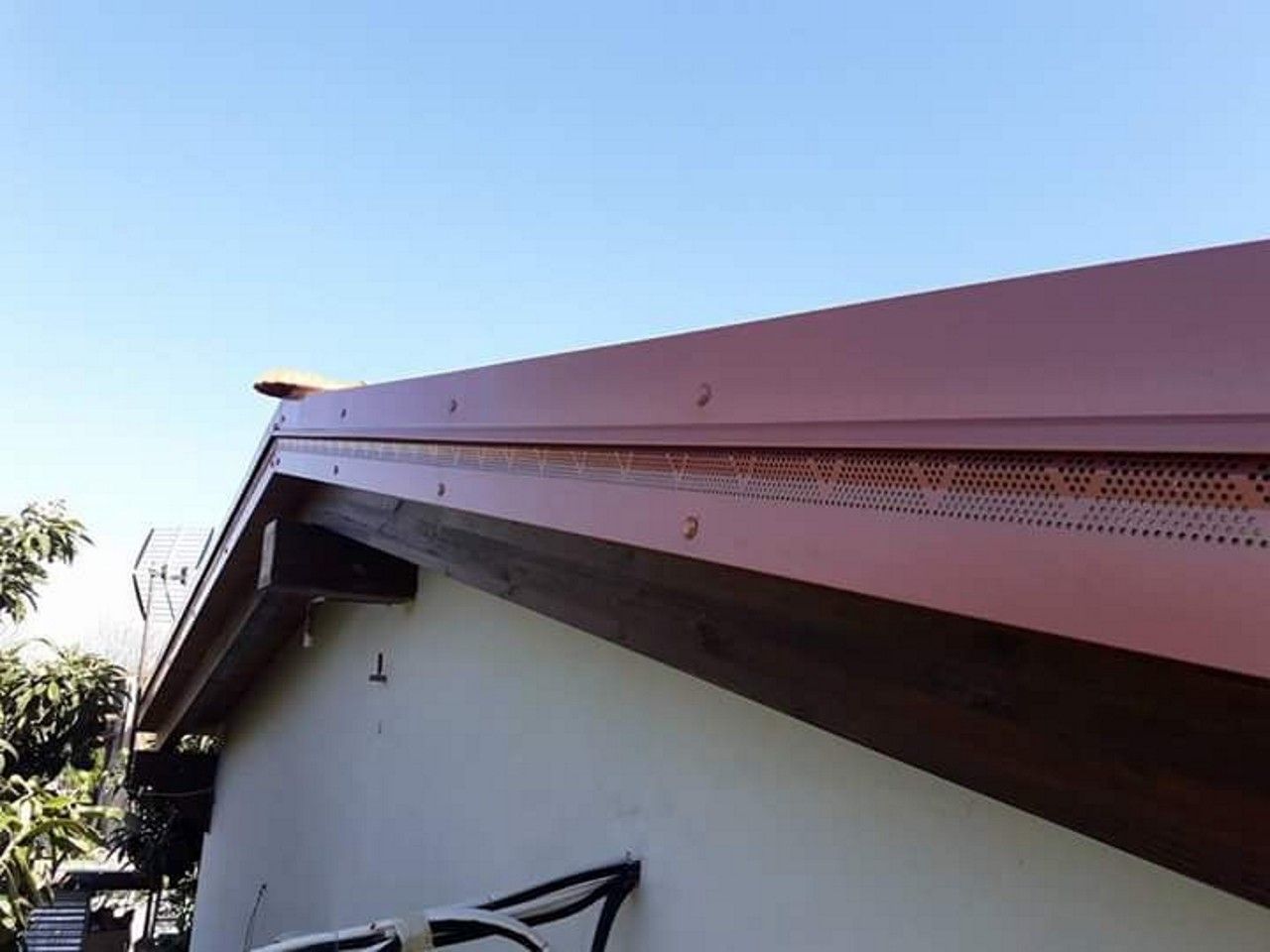 Coperture