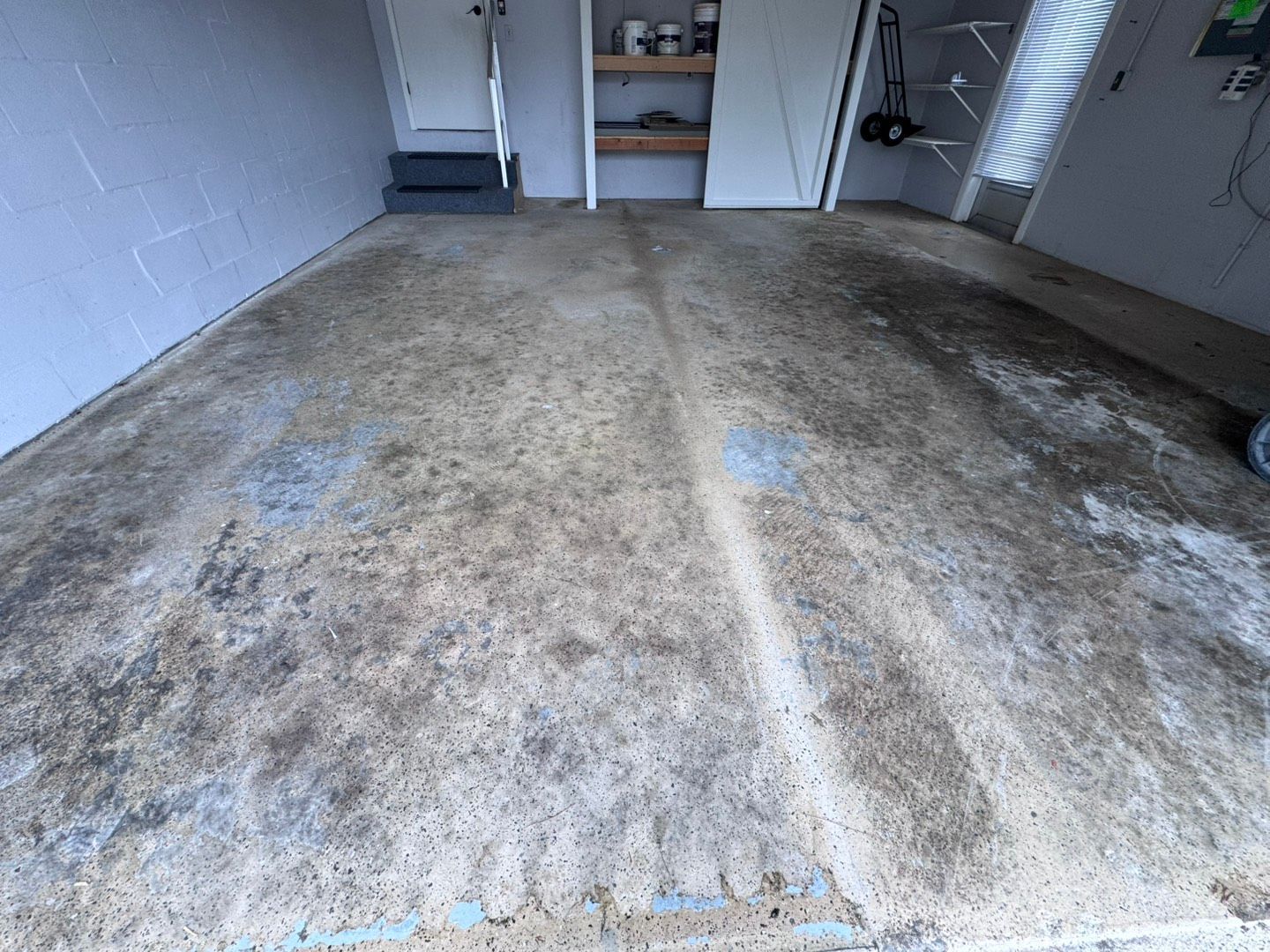 Moldy, stained carpet in a garage with shelves and a door at the back