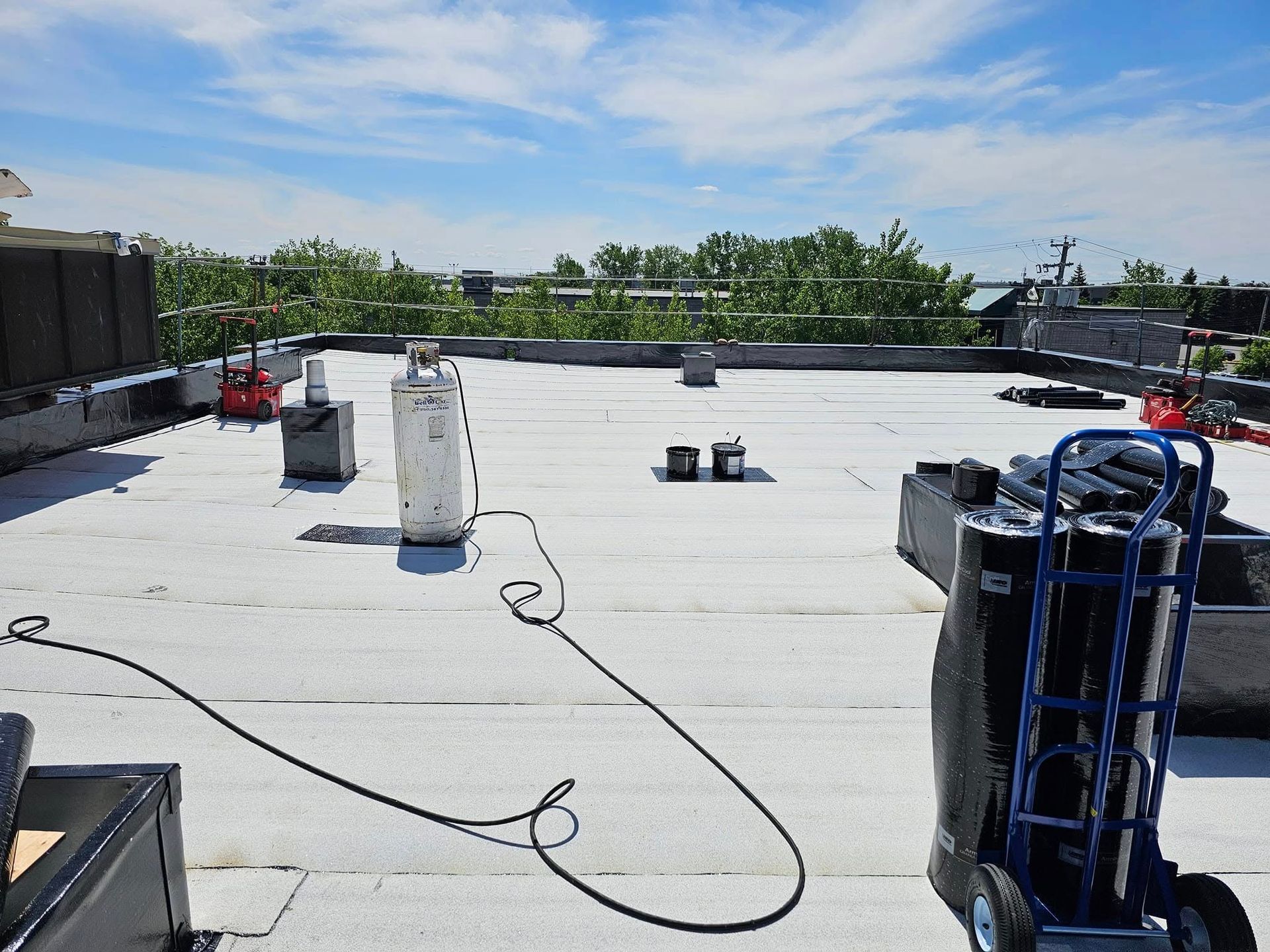 Rooftop scene on a sunny day. White roof with equipment and a blue cart, trees in the background, and clear sky.