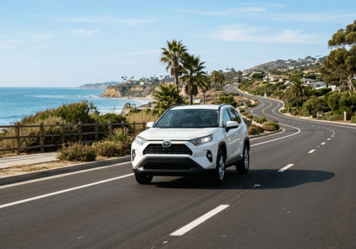 White Toyota RAV4 driving along a scenic coastal road lined with palm trees