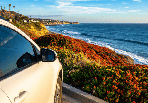 White car parked along a coastal road overlooking the blue ocean and red-orange wildflowers